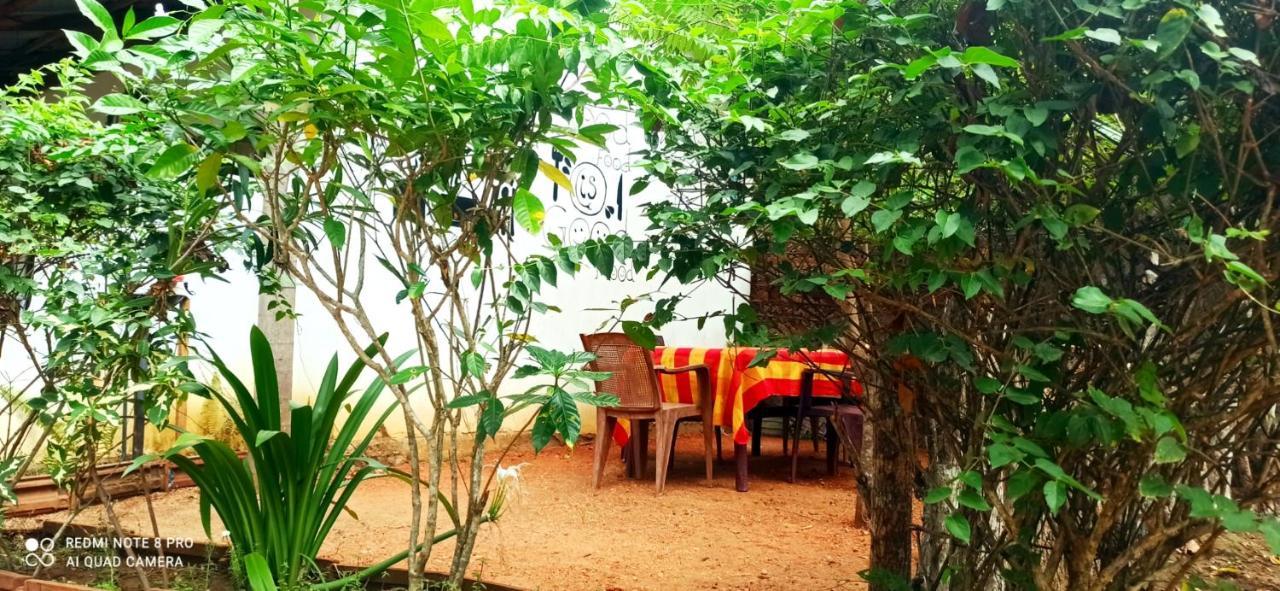 Sigiri Picaso Home Stay Sigiriya Exterior photo