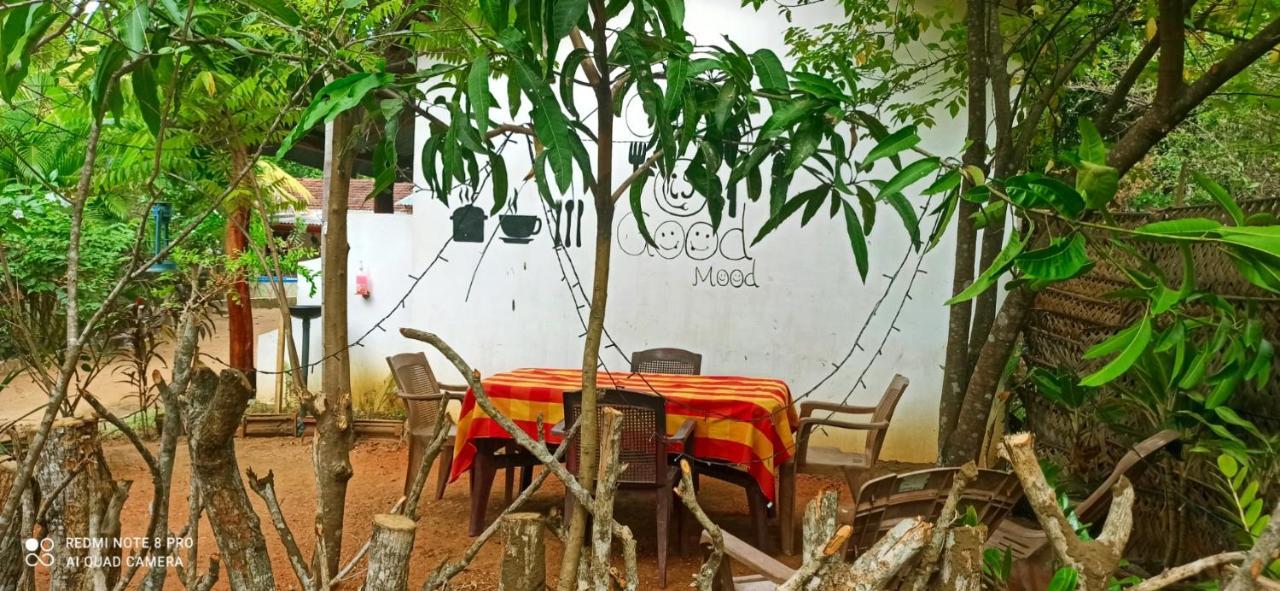 Sigiri Picaso Home Stay Sigiriya Exterior photo