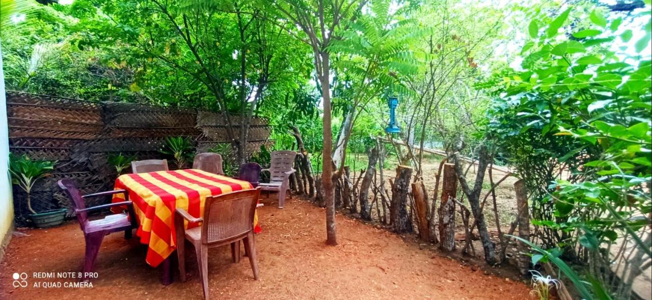 Sigiri Picaso Home Stay Sigiriya Exterior photo