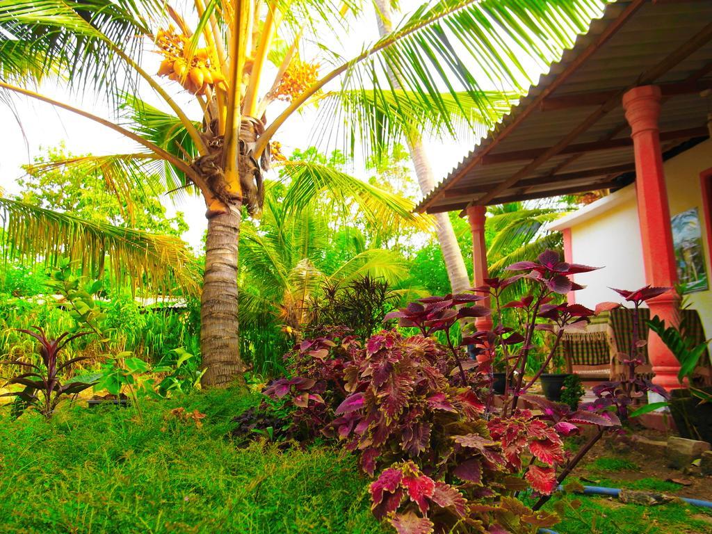 Sigiri Picaso Home Stay Sigiriya Exterior photo