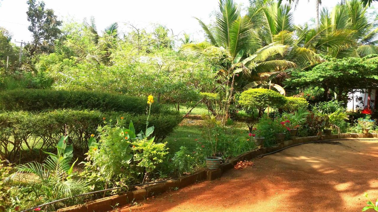 Sigiri Picaso Home Stay Sigiriya Exterior photo