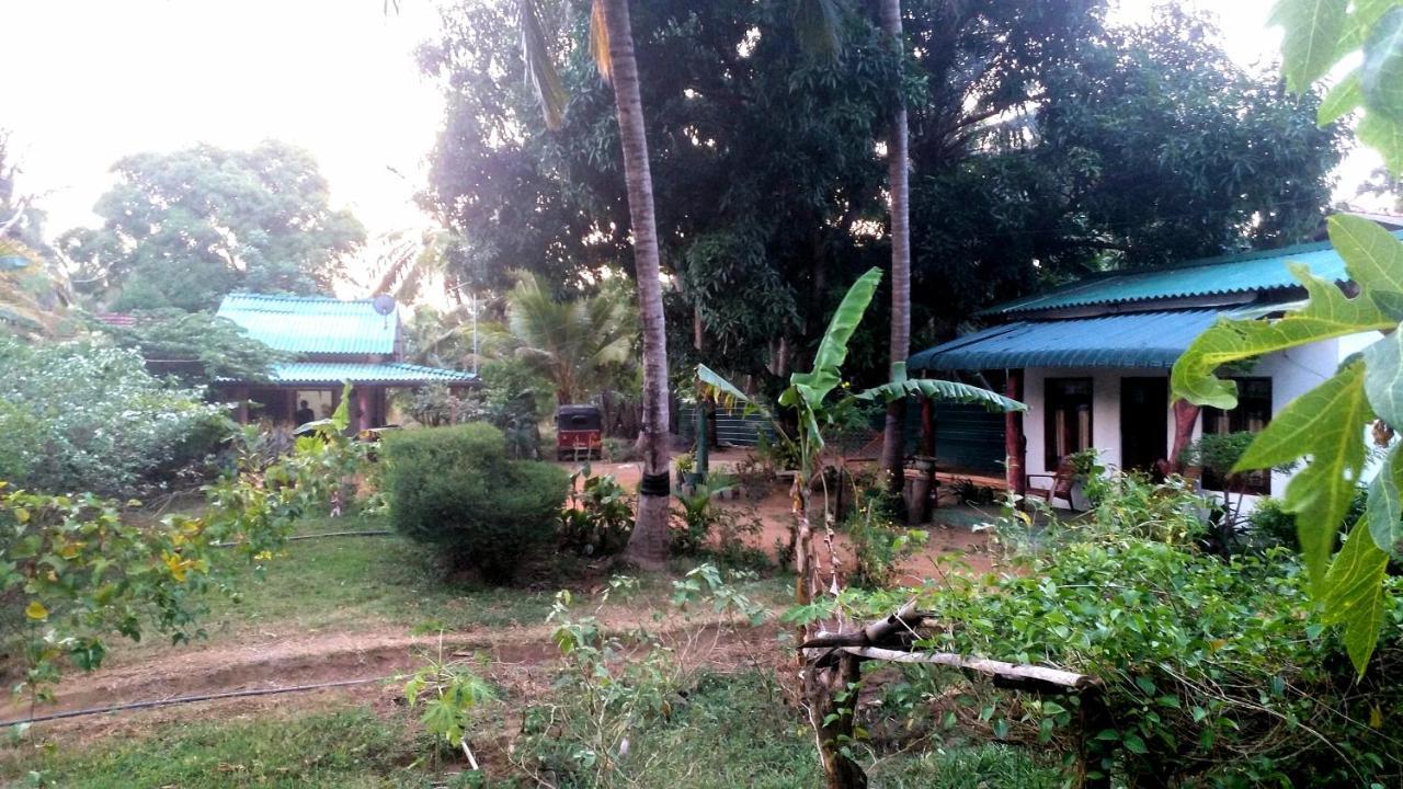 Sigiri Picaso Home Stay Sigiriya Exterior photo