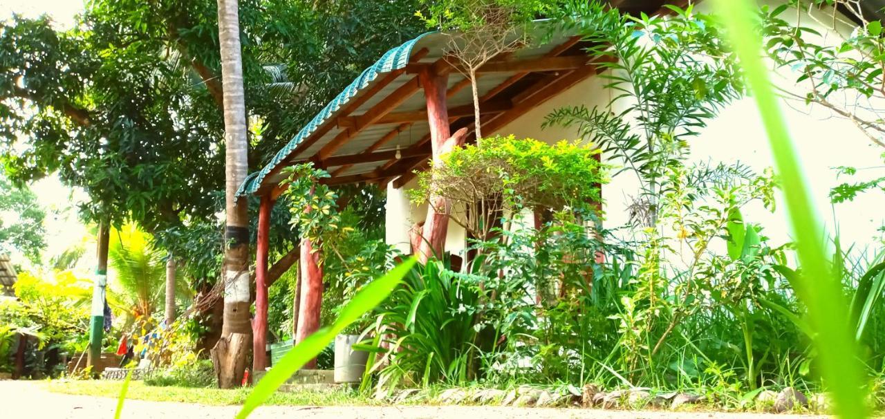 Sigiri Picaso Home Stay Sigiriya Exterior photo