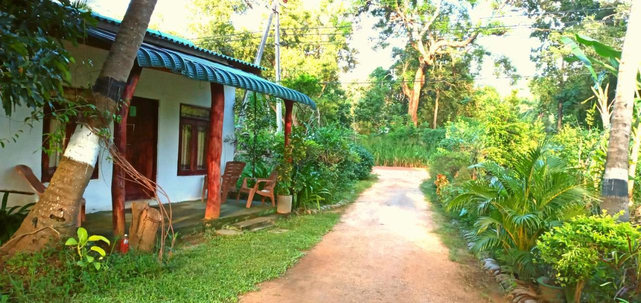 Sigiri Picaso Home Stay Sigiriya Exterior photo